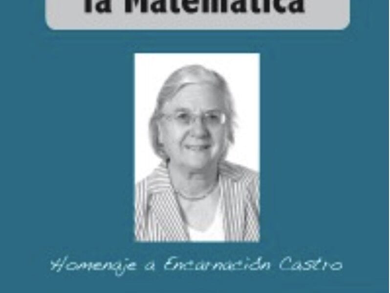 Investigación Didáctica Matemática Homenaje Encarnación Castro